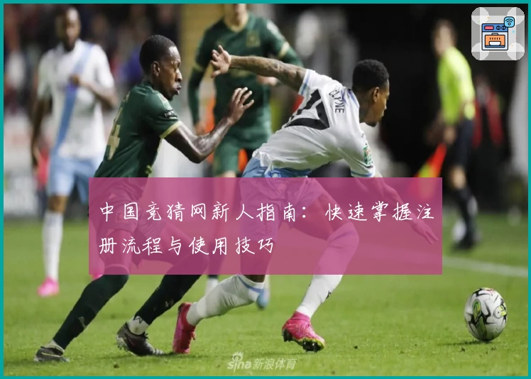 中国竞猜网新人指南：快速掌握注册流程与使用技巧