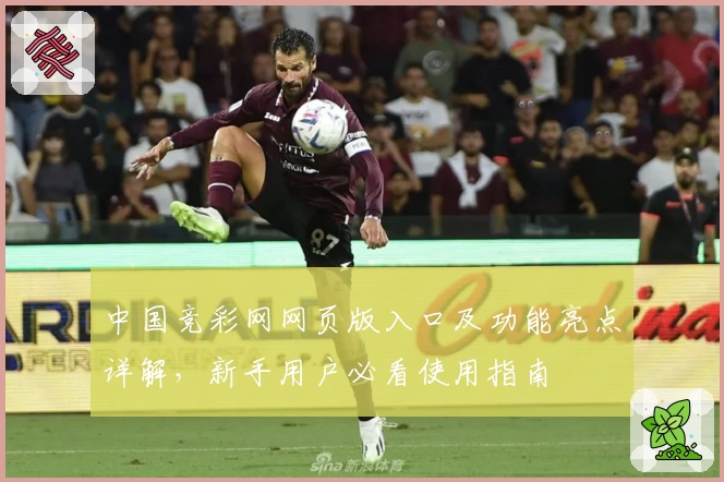中国竞彩网网页版入口及功能亮点详解，新手用户必看使用指南